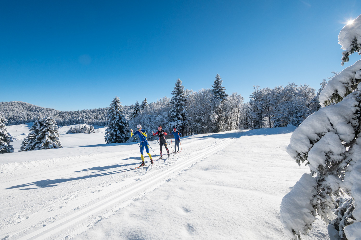 Ski de fond - Les Stations De Ski de la Drôme